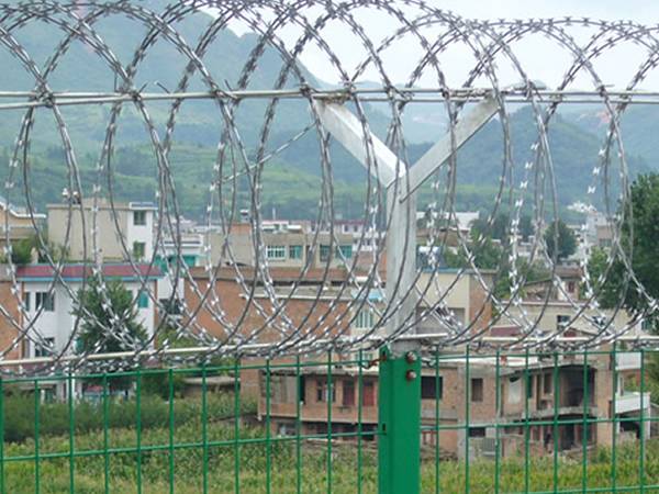 Hexagonal Wire Netting