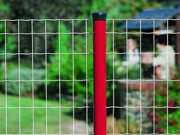 Wire Mesh Fence