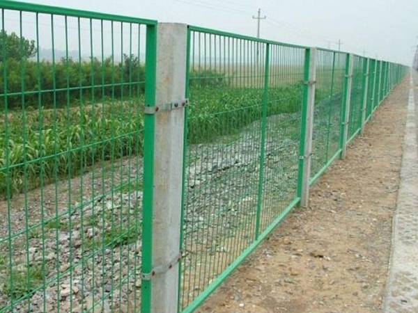 Wire Mesh Fence